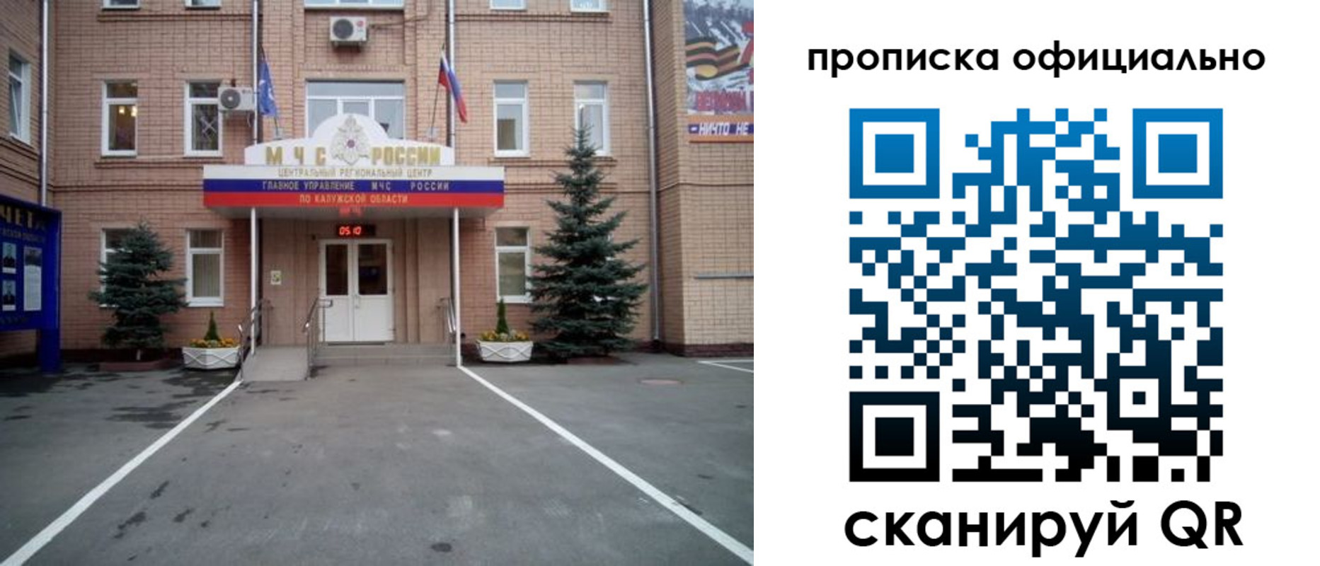 прописка штамп в Жукове